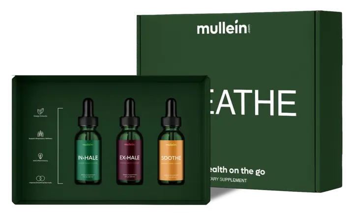Mullein Better Breathing Box product